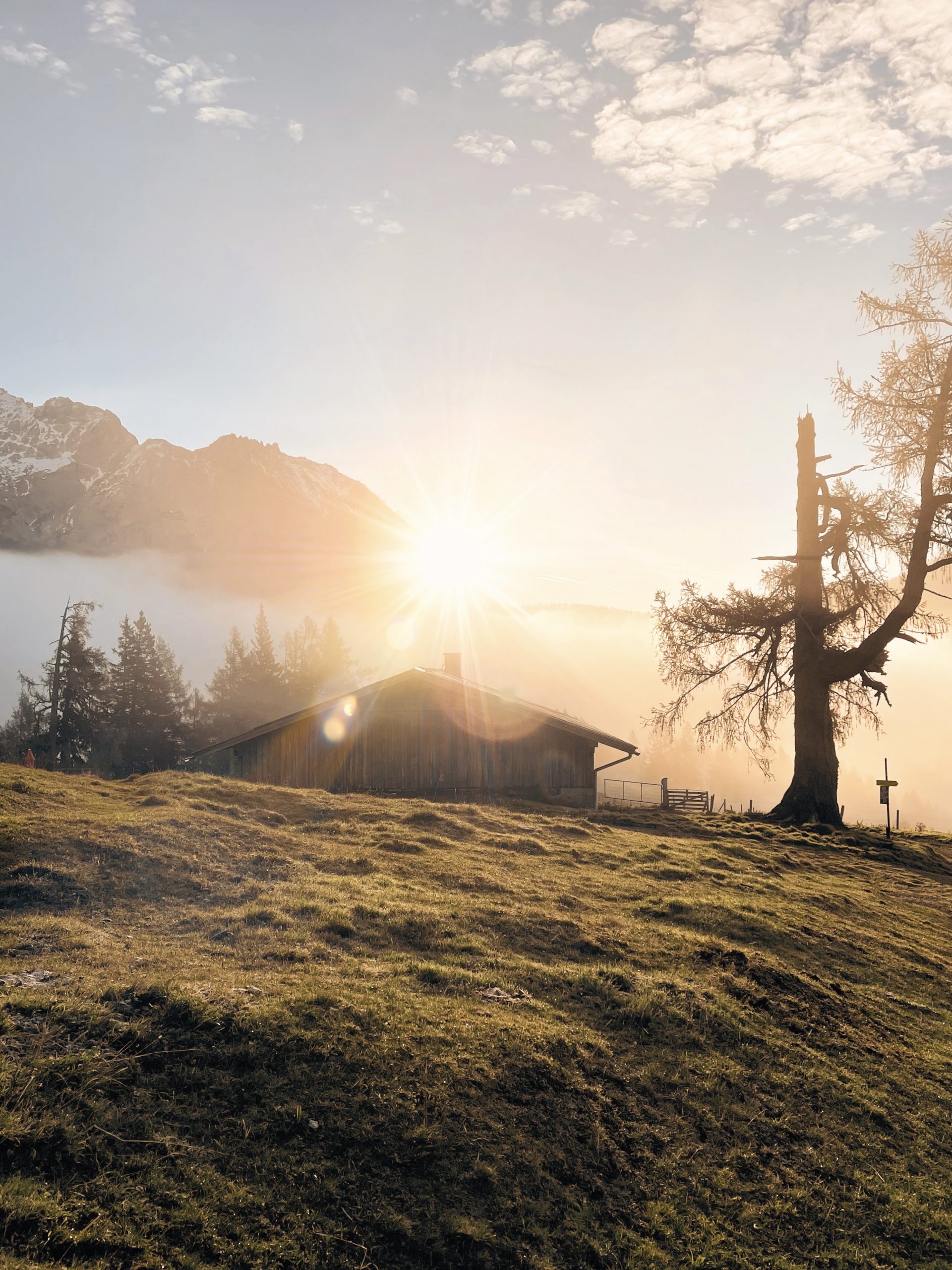 Echte Hochzeitsmomente