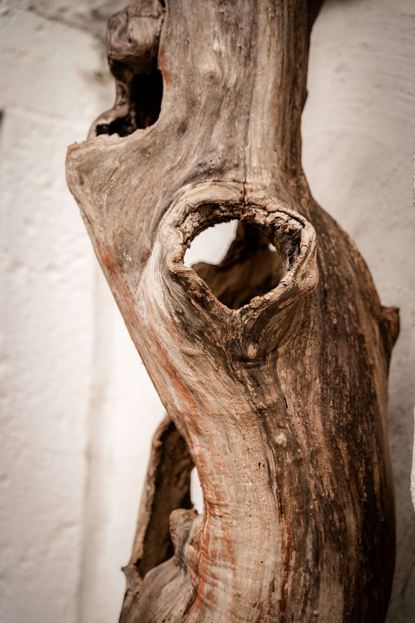 alter Baumstamm als Dekoelement